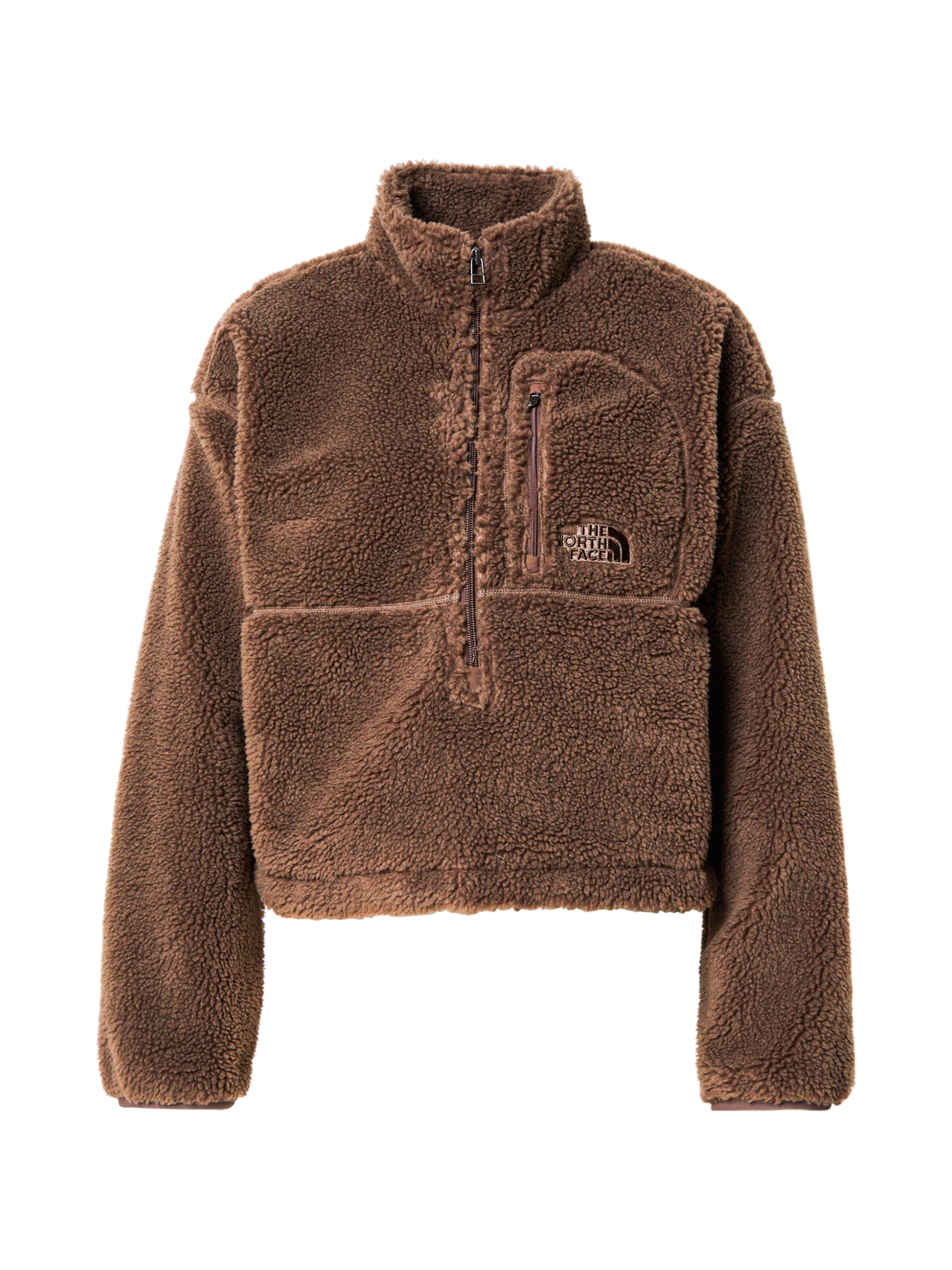 Pullover 'EXTREME PILE' di THE NORTH FACE in marrone: frontale