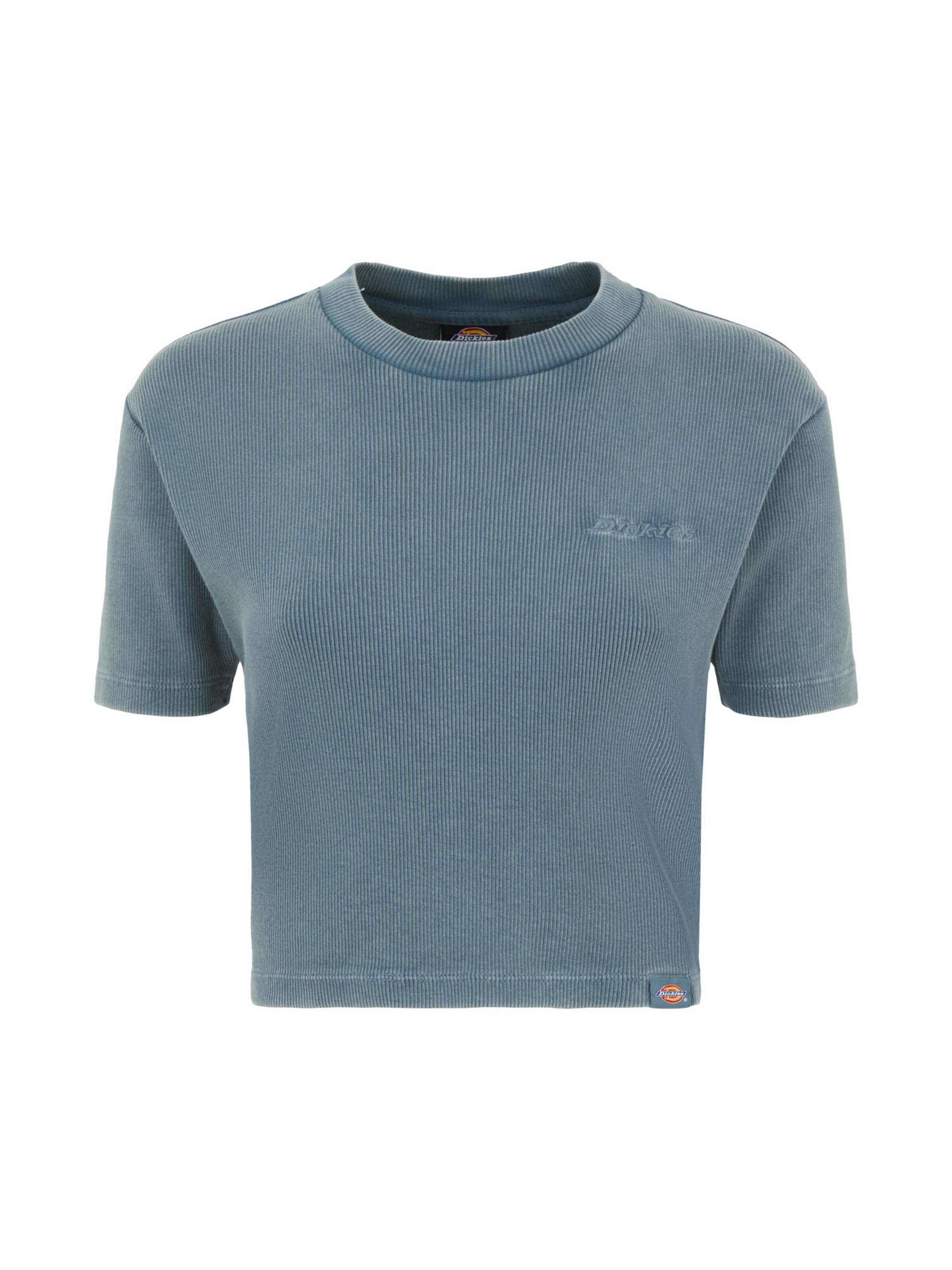 DICKIES Тениска 'PLENTYWOOD' в синьо: отпред