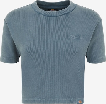 mėlyna DICKIES Marškinėliai 'PLENTYWOOD': priekis