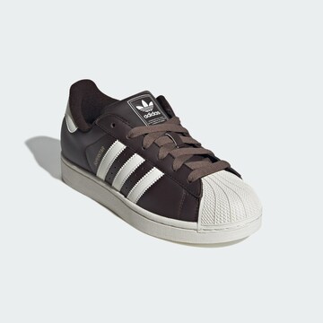 Baskets basses 'Superstar II' ADIDAS ORIGINALS en marron