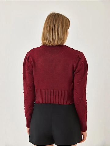 Pull-over Bianco Lucci en rouge