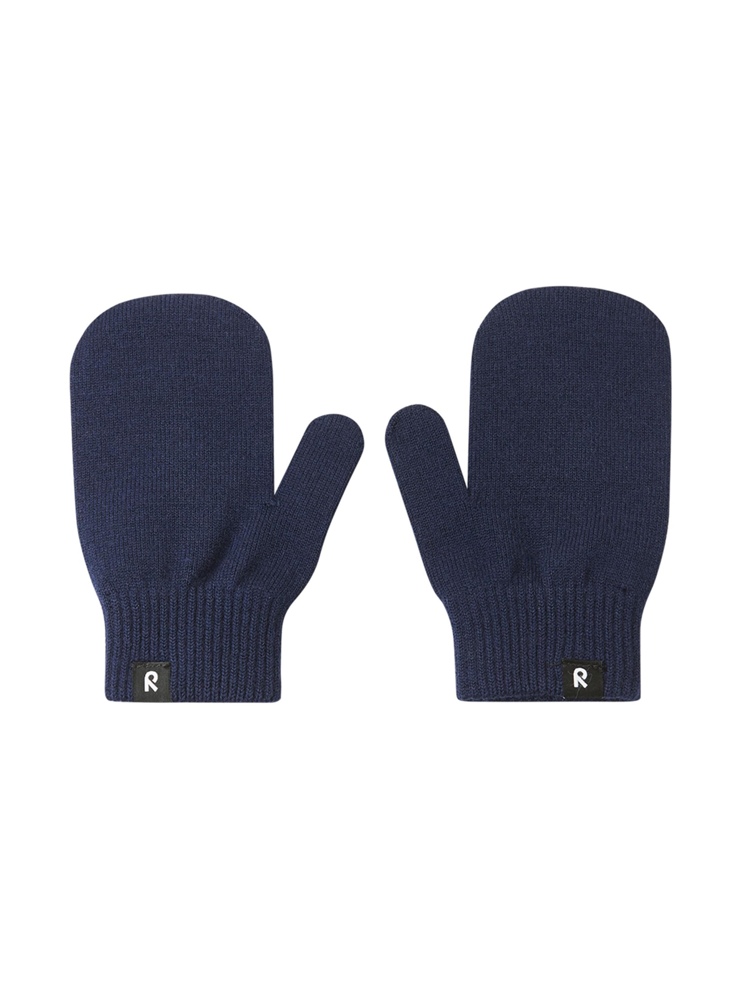 Reima Handschoenen in Blauw: voorkant