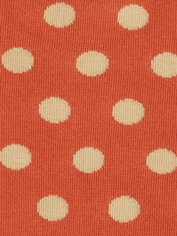 DillySocks Socken in Mischfarben