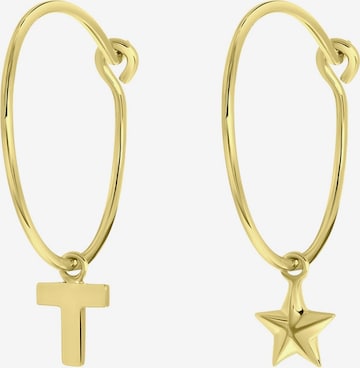 Lucardi Earrings in Gold: front