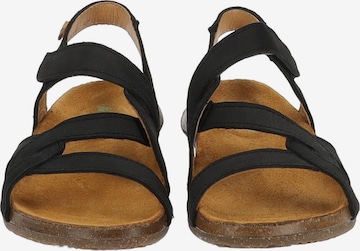 EL NATURALISTA Sandalen met riem in Zwart