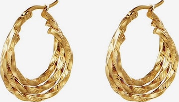Cala Rose Earrings 'TRIPLE HOOPS' in Gold: front