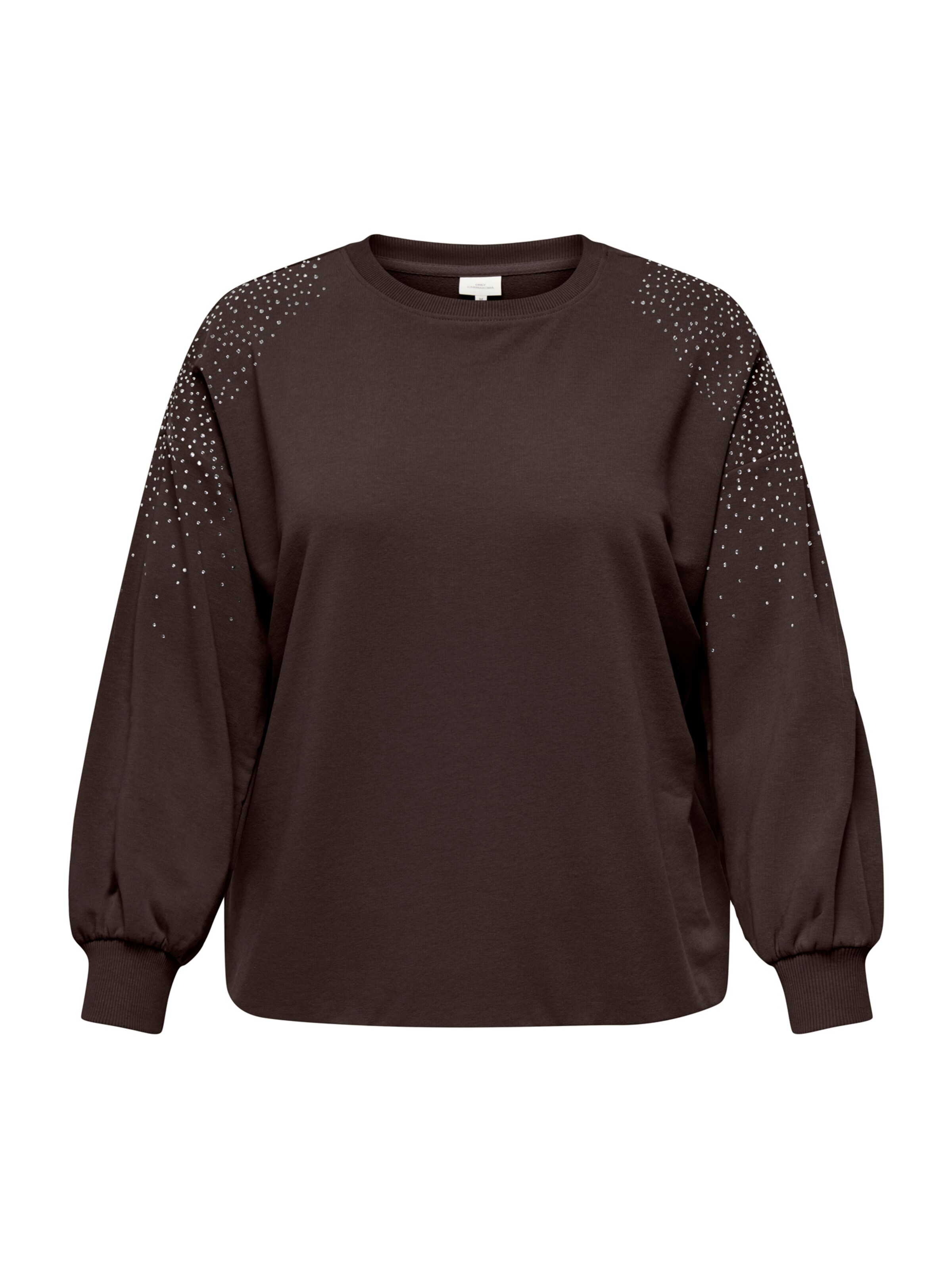 Sweat-shirt 'CARVIOLETTA' ONLY Carmakoma en marron : devant