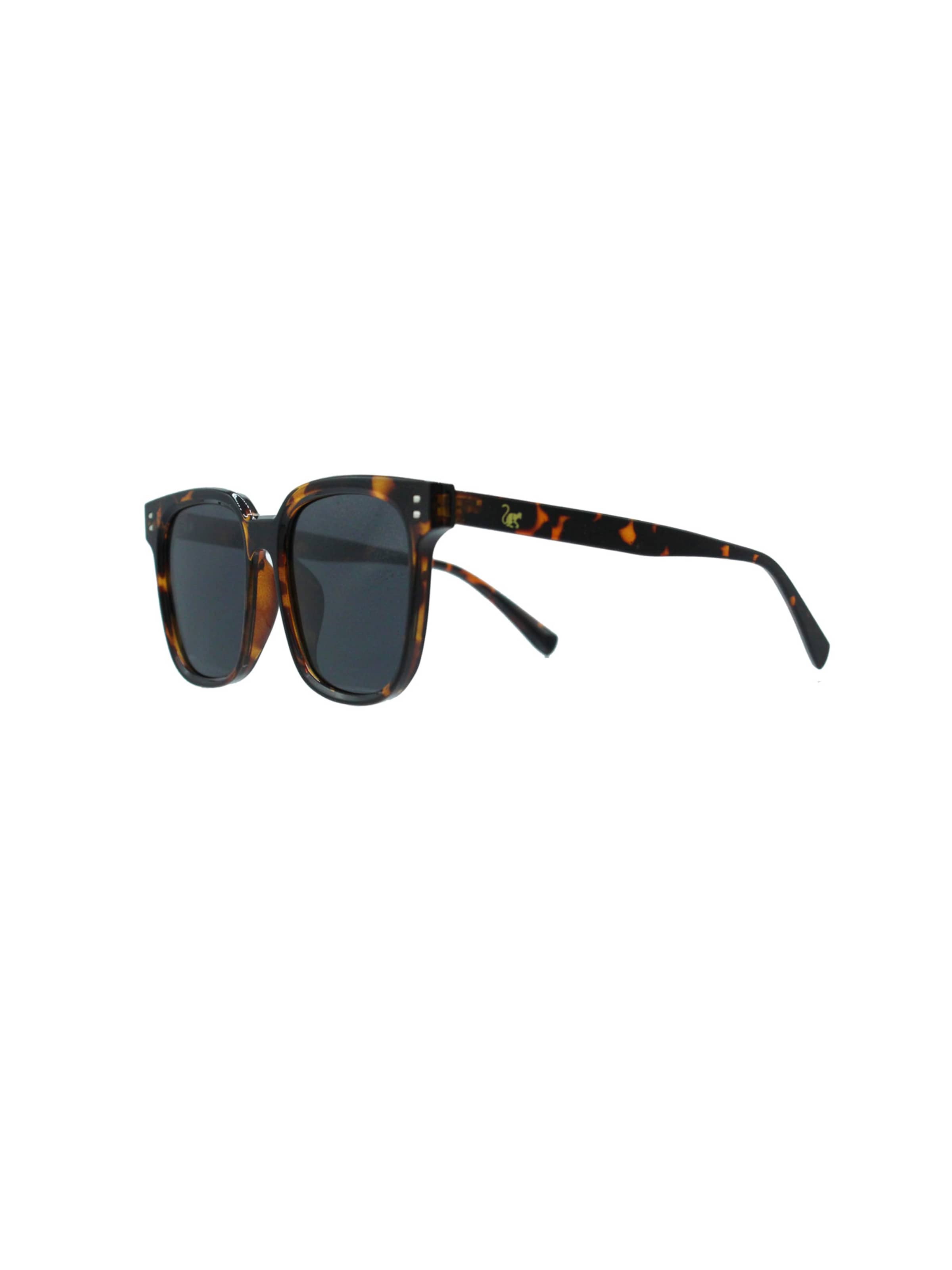 Surf Monkey Sunglasses in Brown: front