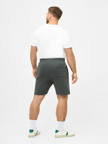 NIKIN Regular Trousers in Grey