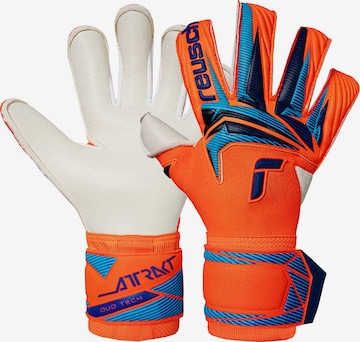 REUSCH Torwarthandschuhe 'Attrakt Duo Evolution' in Blau: Vorderseite