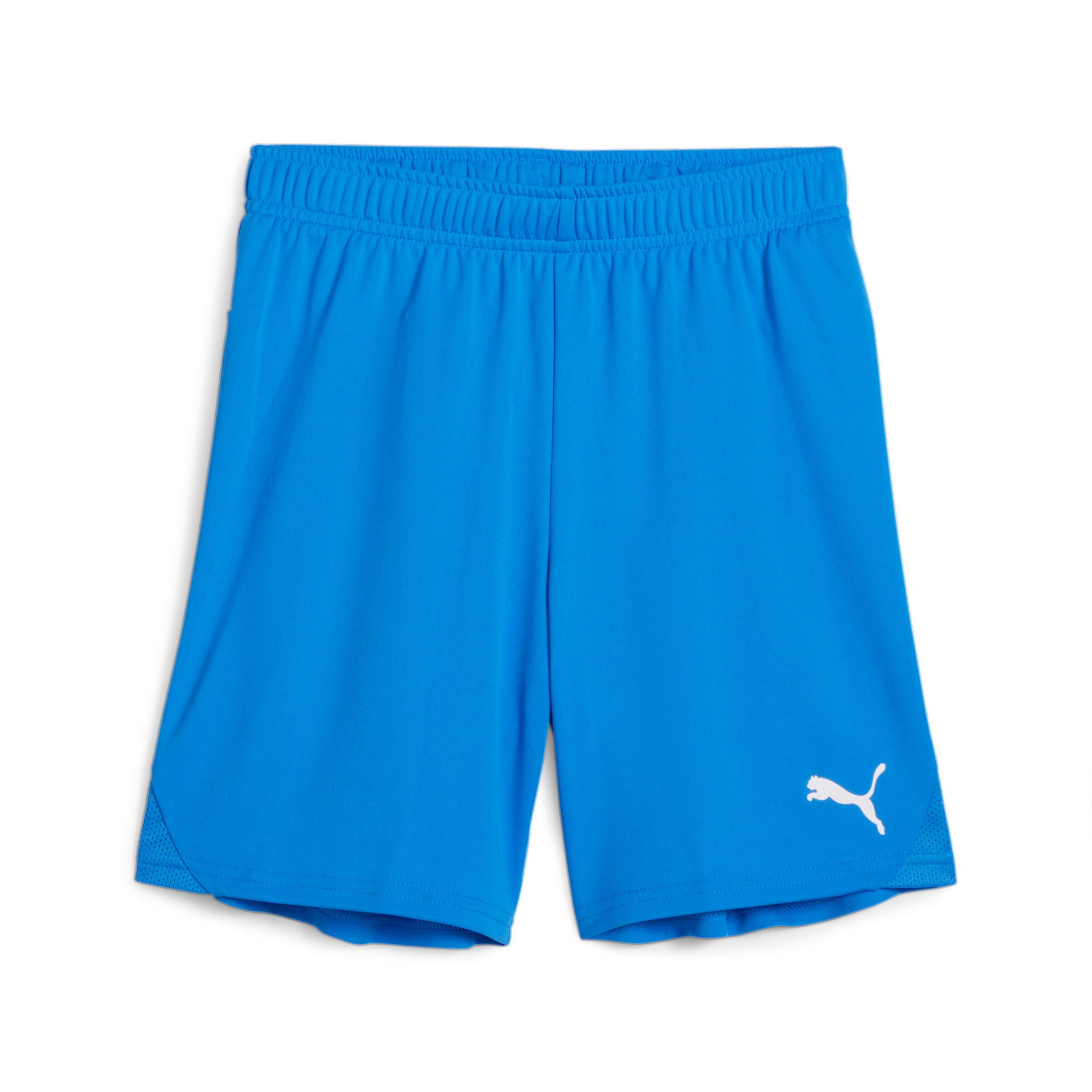 PUMA Sportshorts 'TeamGoal' in Blau: Vorderseite