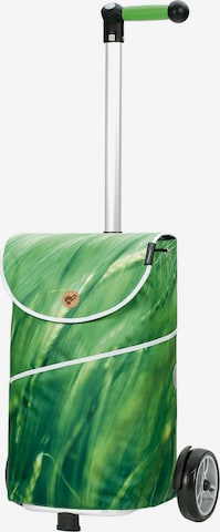 Andersen Shopper Cart 'Unus' in Green: front