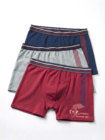 ÖTS Bielizna 'ÖTS Herren Boxer Briefs' w kolorze mieszane kolory