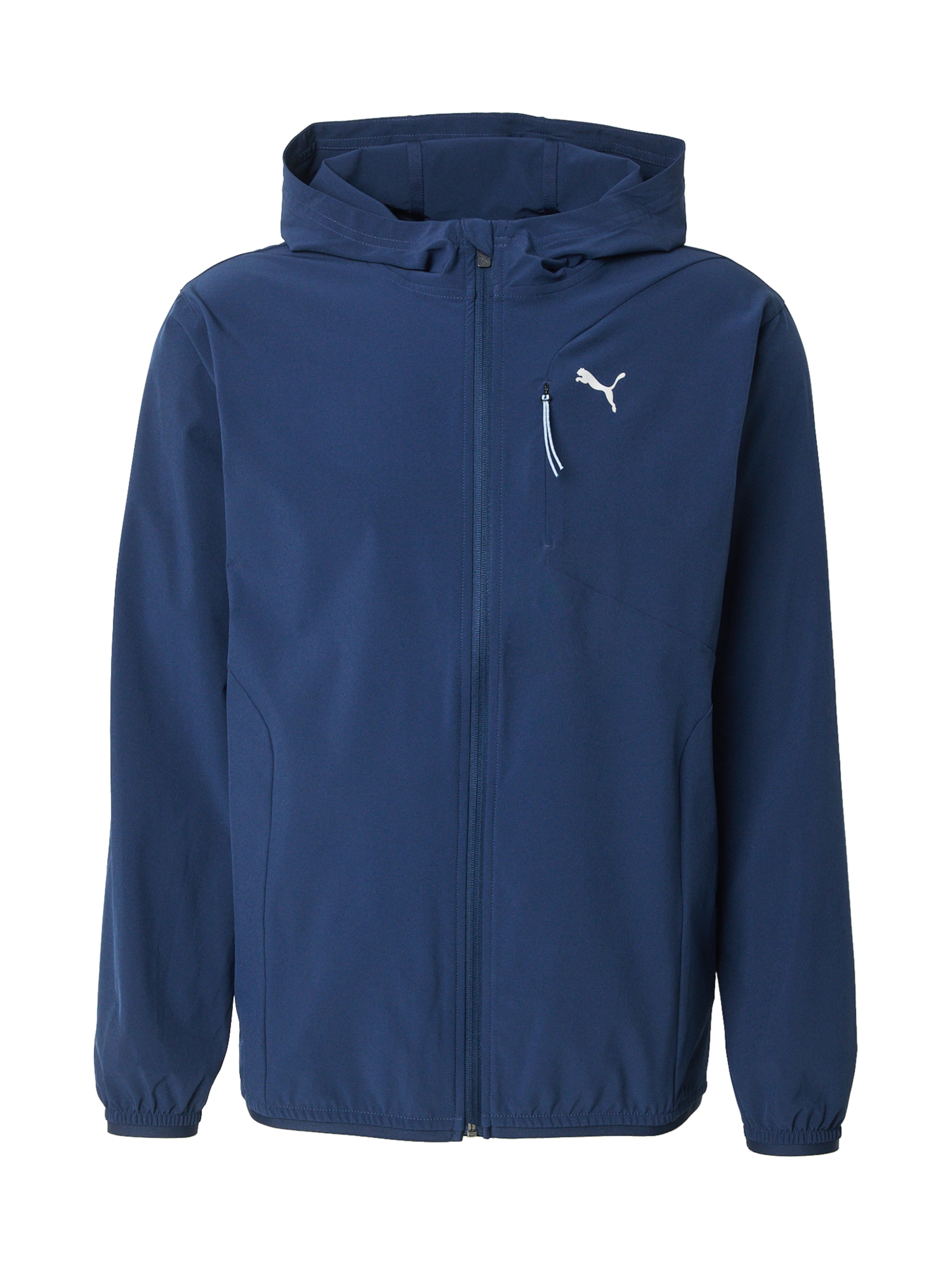 PUMA Φόρμα 'Flex' σε μπλε: μπροστά