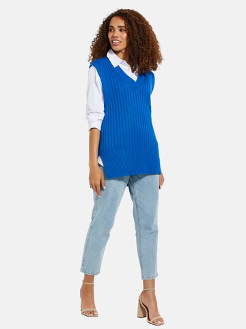 Threadbare Sweater 'Chandler' in Blue