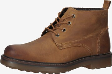 CLARKS Lace-Up Shoes in Brown: front