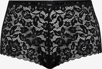 Panty 'Natural Comfort Lace' di CALIDA in nero: frontale