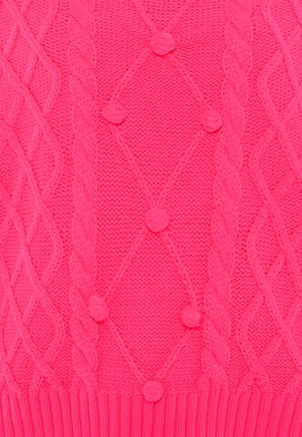 usha BLUE LABEL Sweater in Pink