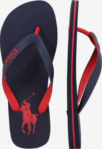 Tongs 'Bolt' Polo Ralph Lauren en bleu