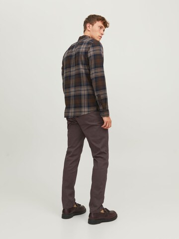 Regular Pantalon chino 'Marco Dave' JACK & JONES en marron