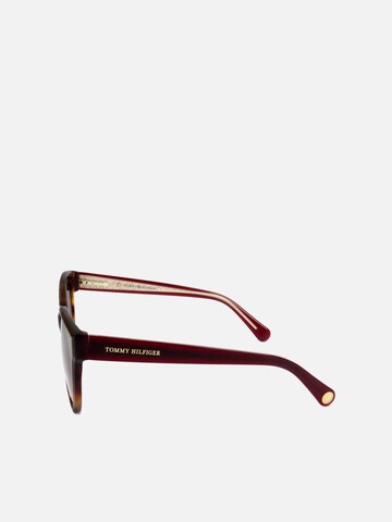 TOMMY HILFIGER Zonnebril in Bruin