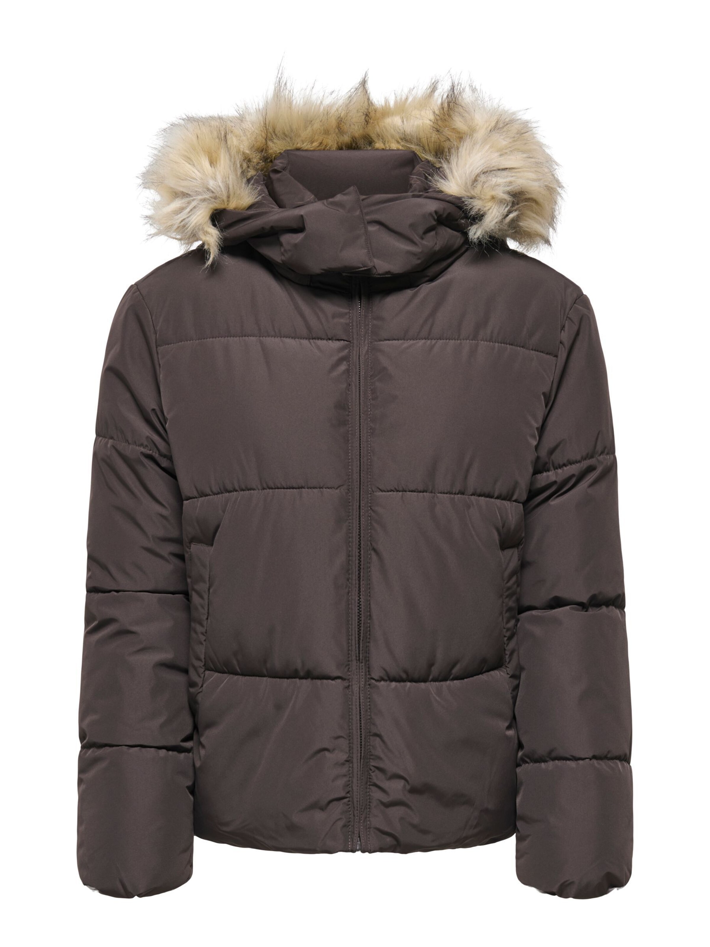 ONLY Winter jacket 'ONLJuta' in Brown: front
