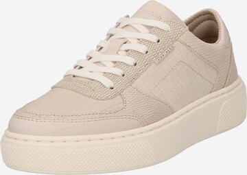 Baskets basses BULLBOXER en beige : devant