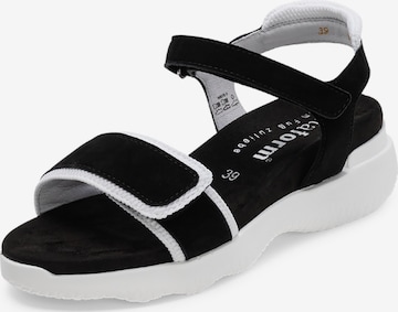 Sandales à lanières VITAFORM en noir : devant