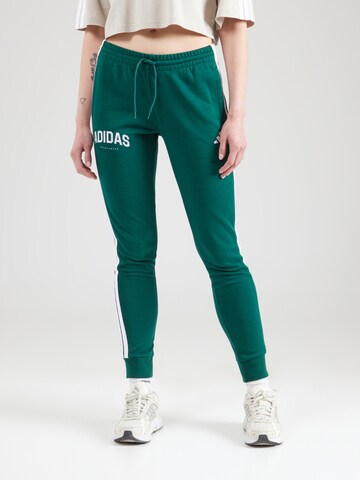 ADIDAS SPORTSWEAR Tapered Παντελόνι φόρμας σε πράσινο: μπροστά