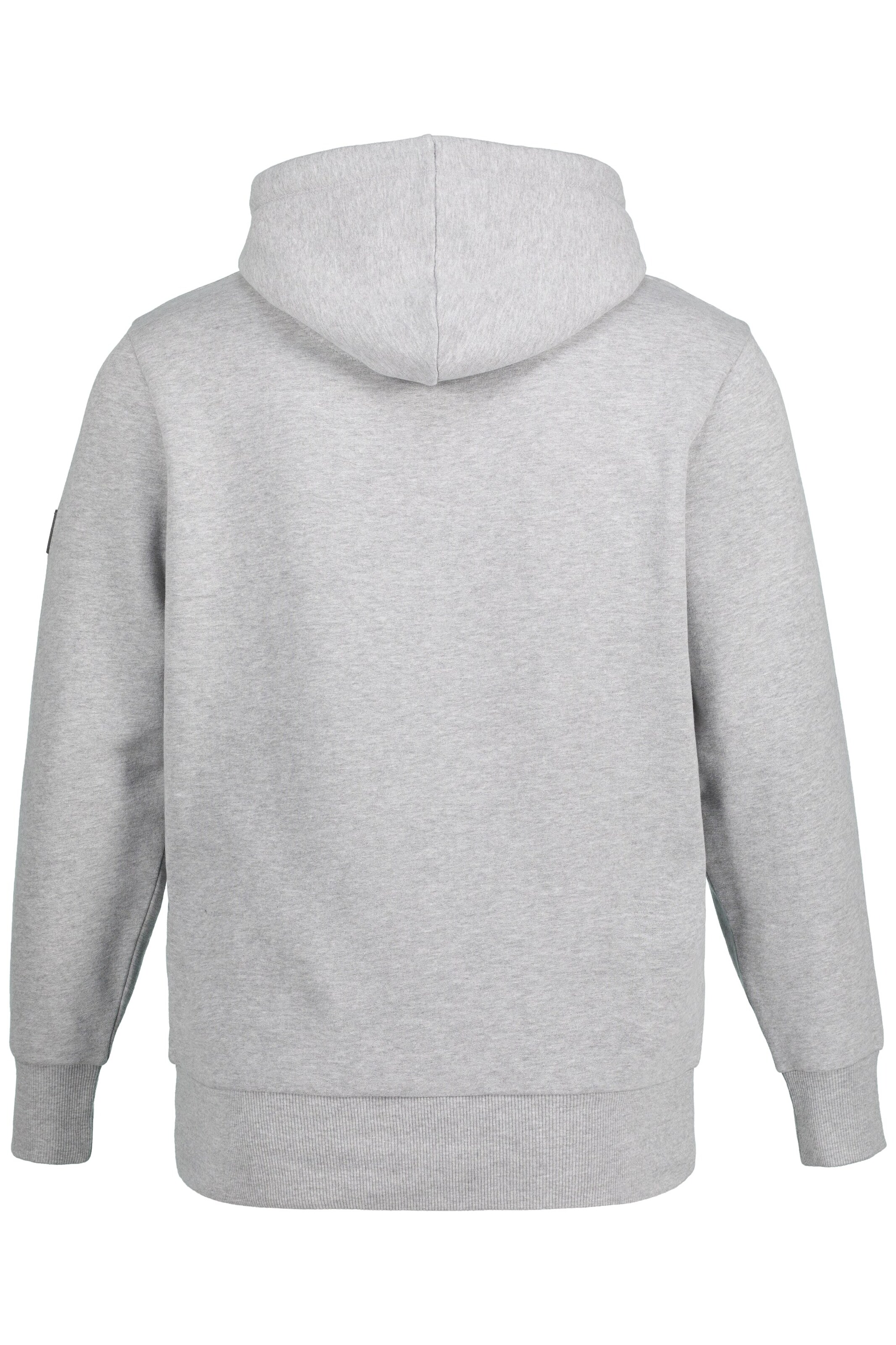 JAY-PI Sweatshirt in Grau