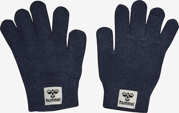 Hummel Gloves in Blue: front