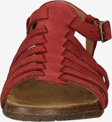 EL NATURALISTA Sandalen met riem in Rood