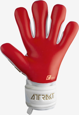 REUSCH Athletic Gloves 'Attrakt Freegel Silver' in White