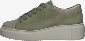 Sneaker bassa di Paul Green in verde