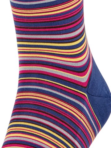 FALKE Kniestrümpfe 'Microblock'‌‌‌‌‌‌‌‌‌‌ in Blau