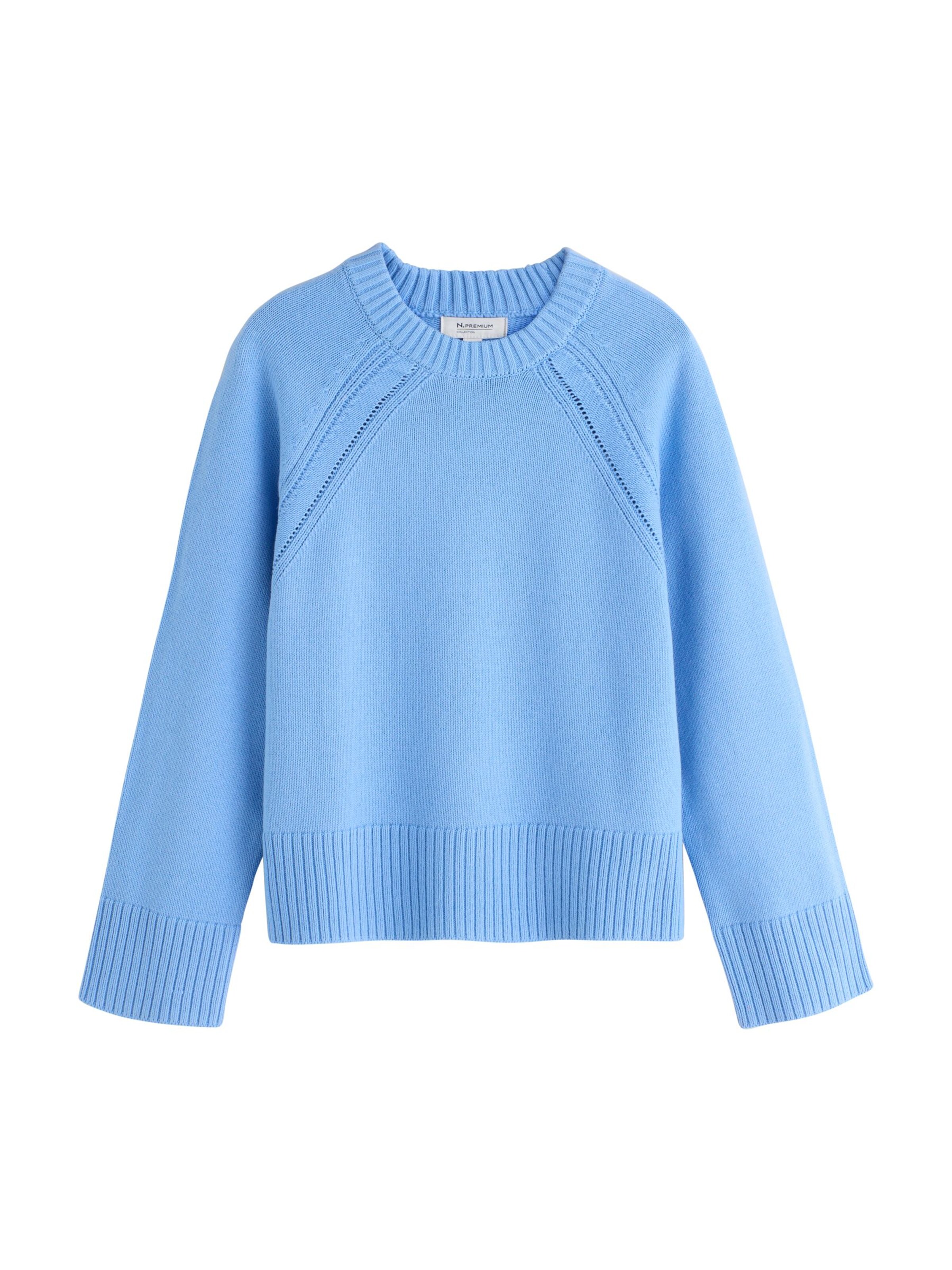 Pull-over 'N. Premium' Next en bleu : devant