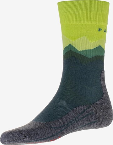 FALKE Athletic Socks 'TK2 Crest' in Grey: front