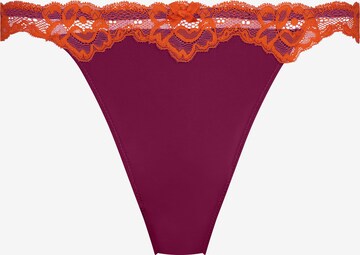 Hunkemöller Thong in Purple: front