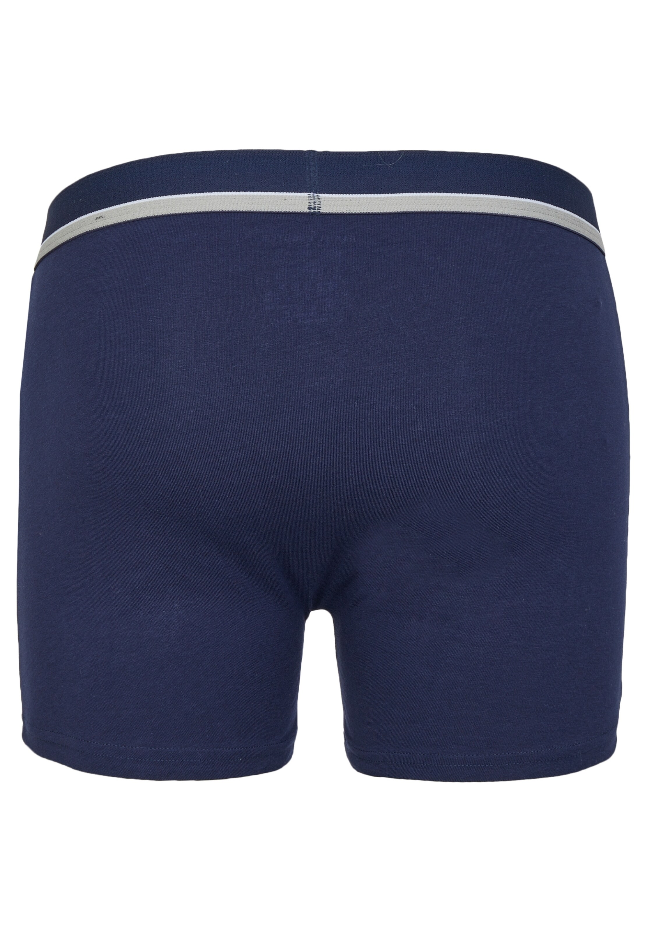 HECHTER PARIS Boxershorts in Blauw