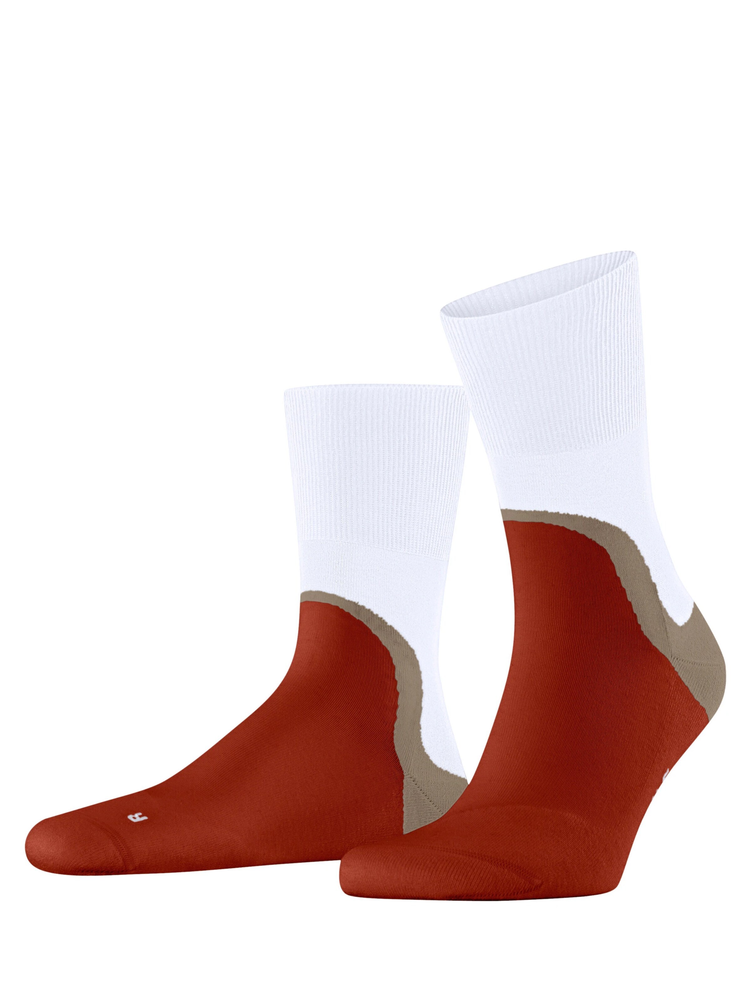 FALKE Socks 'Run Special Edition' in Grey: front