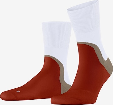 FALKE Socks 'Run Special Edition' in Grey: front