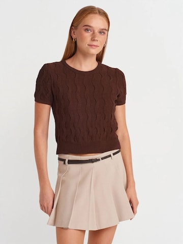 Dilvin Blouse 'Blusen' in Brown: front