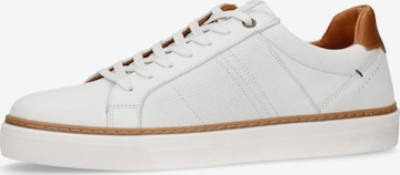 Baskets basses MANFIELD en blanc : devant