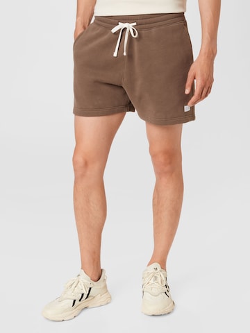HOLLISTER Regular Pants in Brown: front