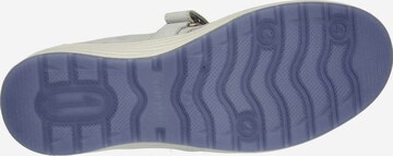 Ganter Ballet Flats in Grey