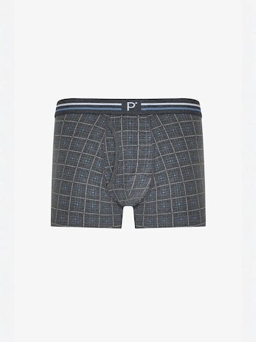 Penti Boxershorts 'PENTI Herren Blend gestreifte Boxershorts'‌‌‌‌‌‌‌‌‌‌ in Grau