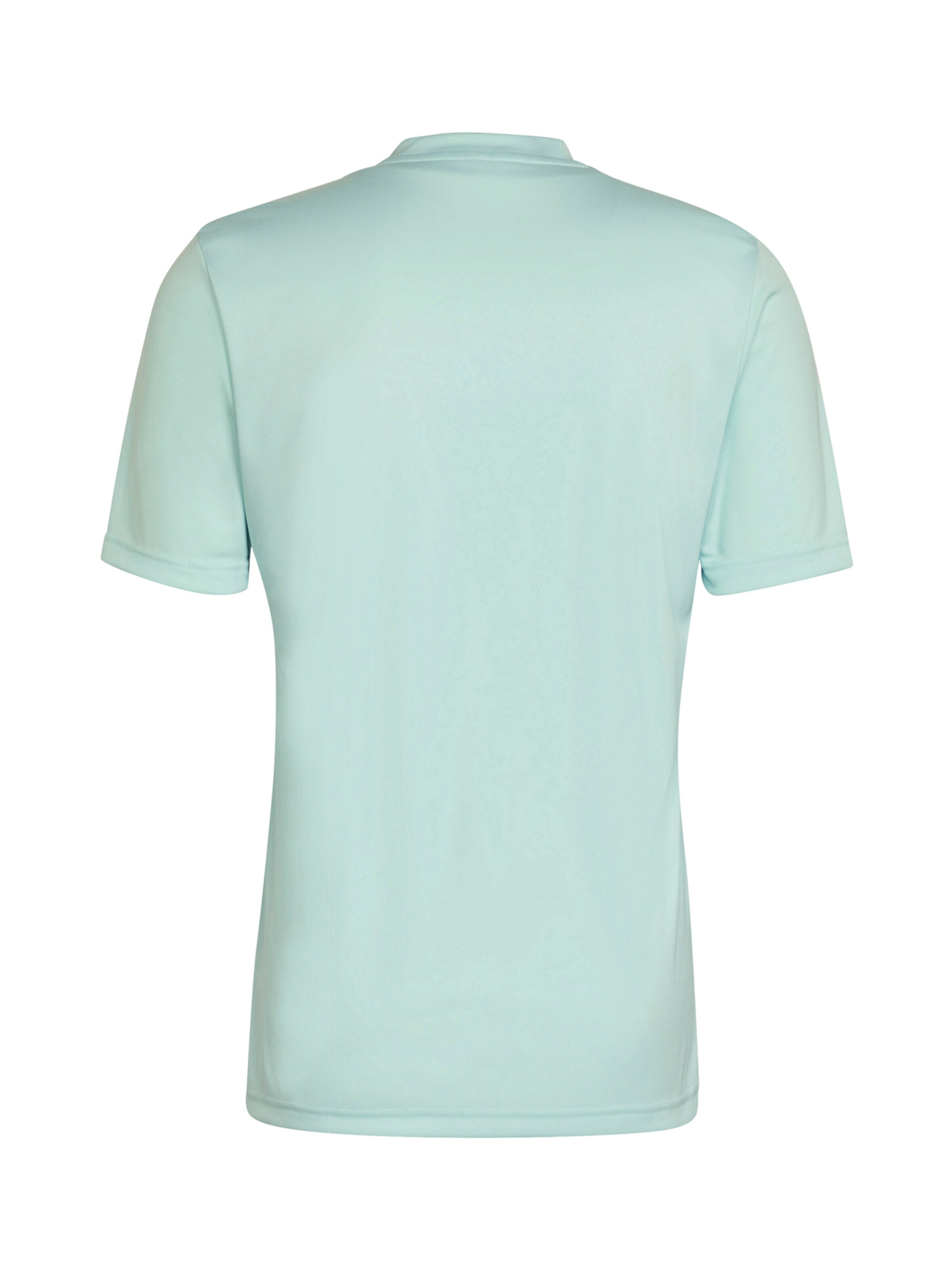 ADIDAS PERFORMANCE Shirt 'Entrada' in Grün