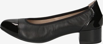 CAPRICE Pumps in Zwart