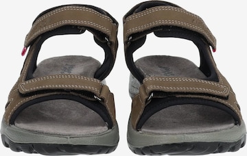 IMAC Hiking Sandals in Brown