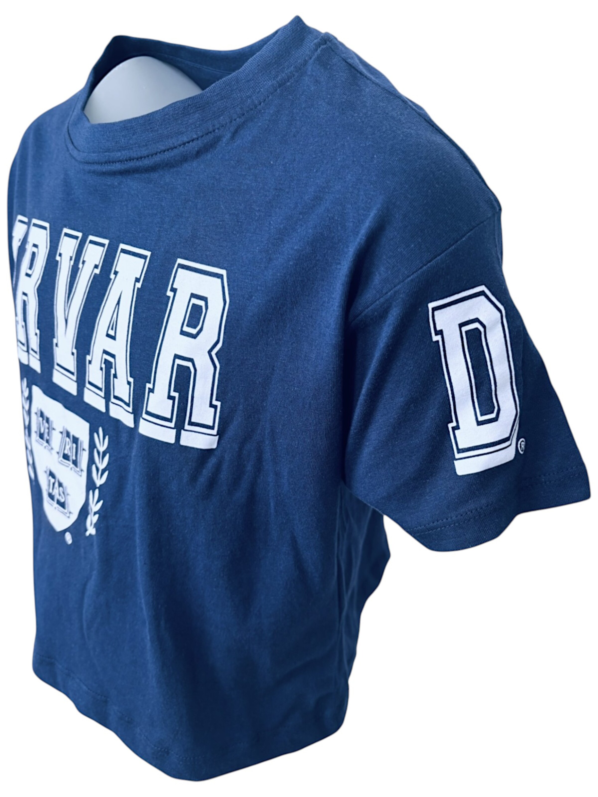 HARVARD Shirt 'Harvard University' in Blue